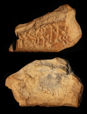 N6319