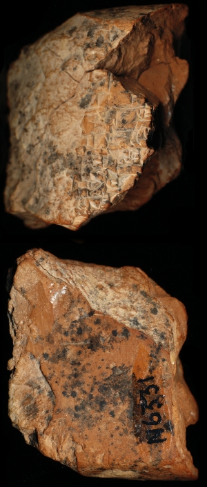 N6331