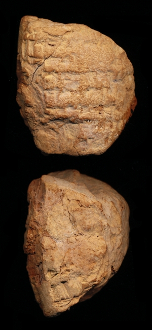 N6332