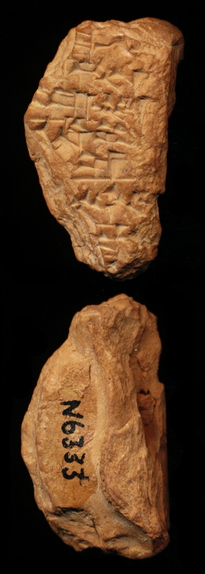 N6333
