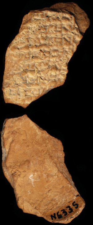 N6335