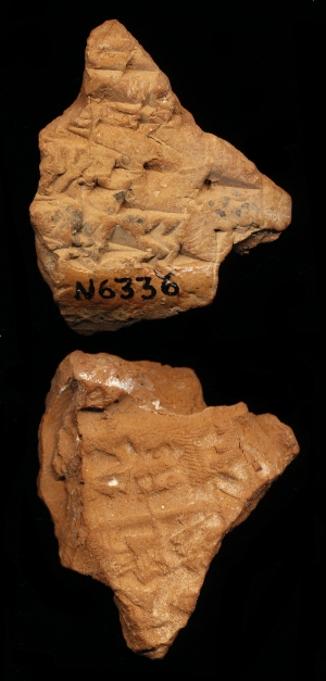 N6336