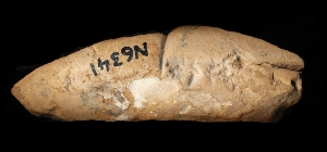 N6341