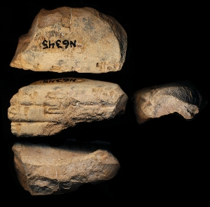 N6345