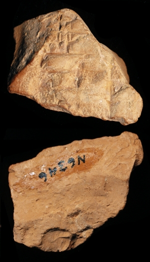 N6346