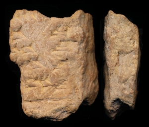 N6349