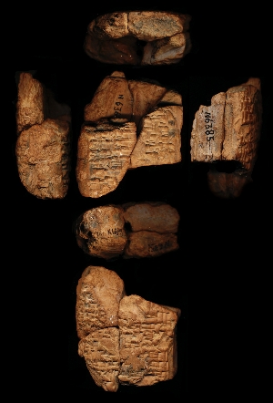 N6351