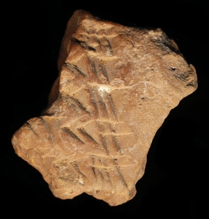 N6353