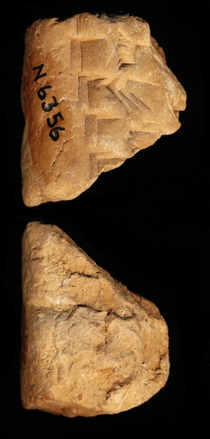 N6356