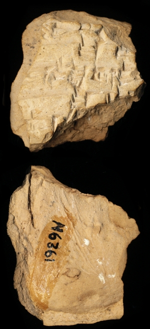 N6361