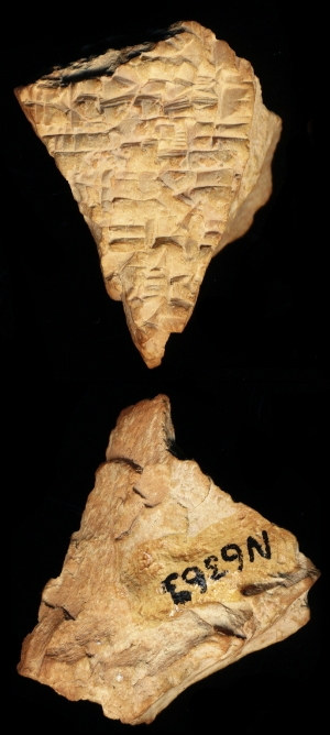 N6363