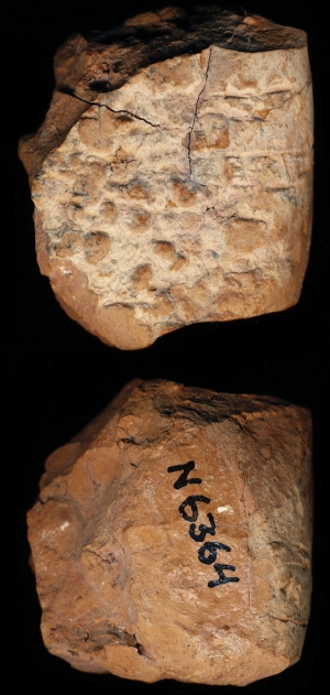 N6364