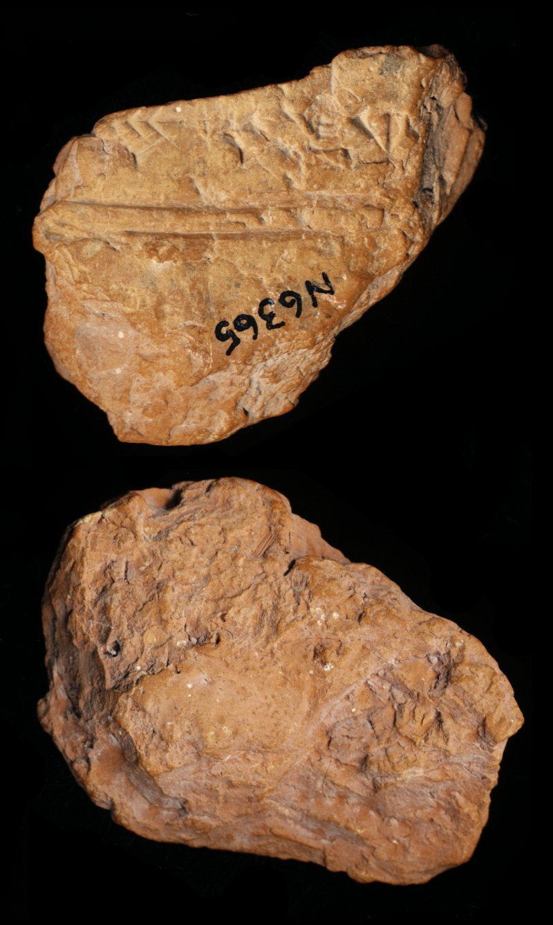 809392