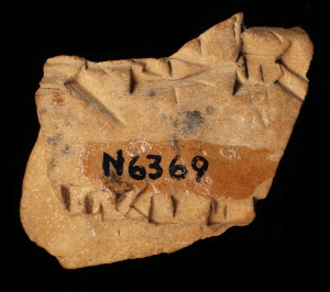 N6369