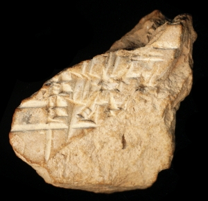 N6371