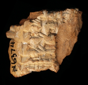 N6374