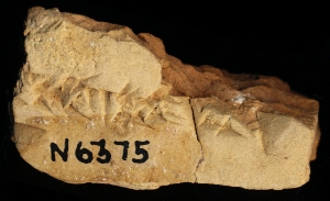 N6375