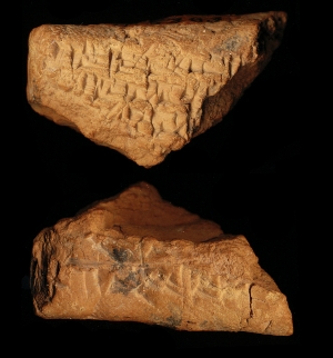 N6383