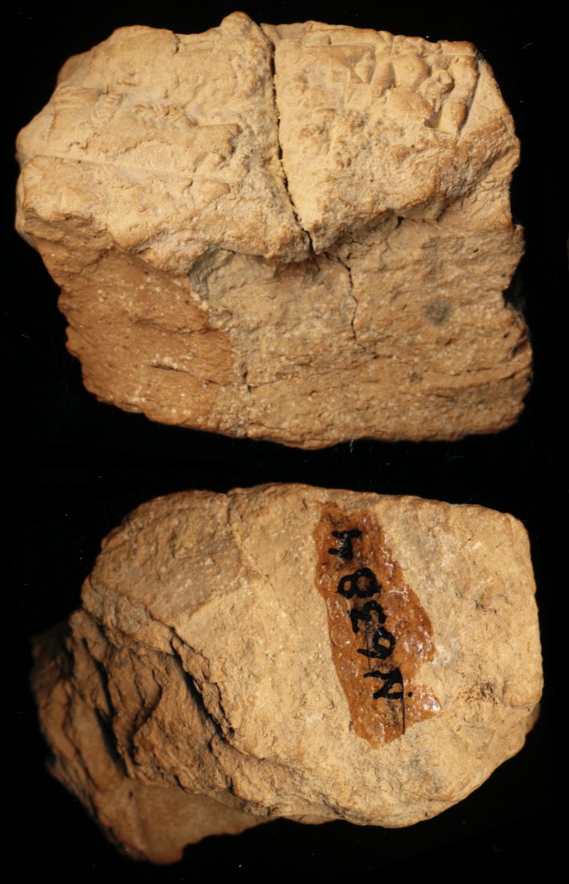 809407