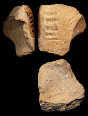 N6389