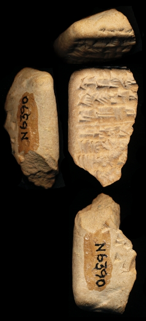 N6390