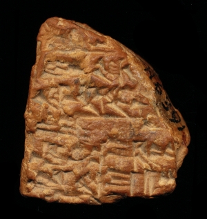 N6391