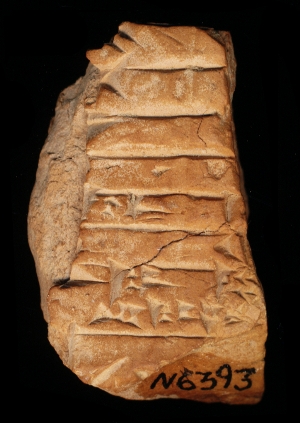 N6393