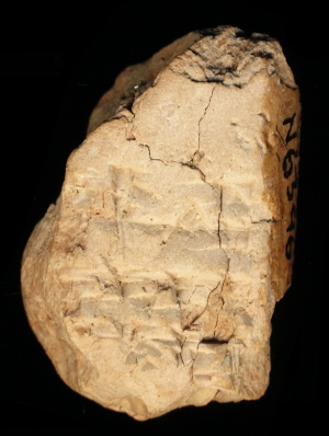 N6396