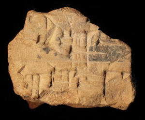 N6397