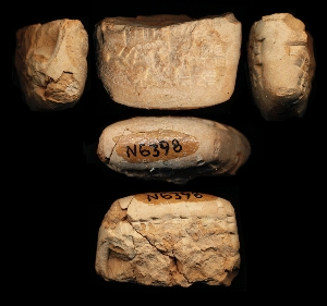 N6398