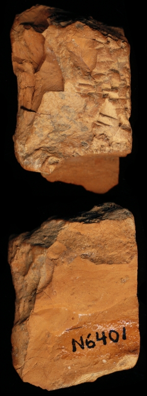 N6401