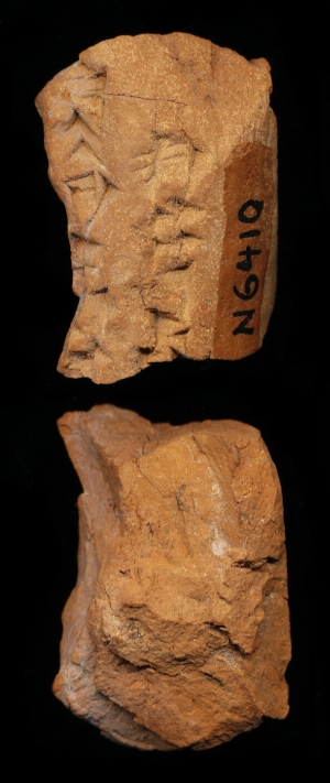 N6410