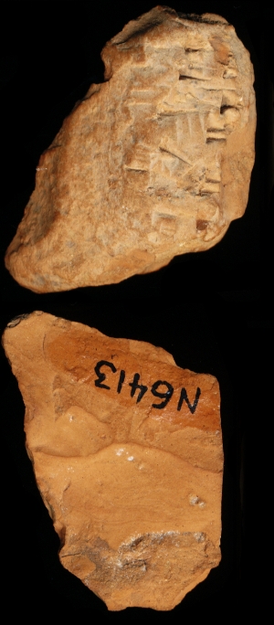 N6413