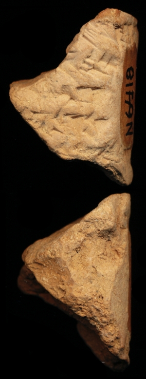 N6418