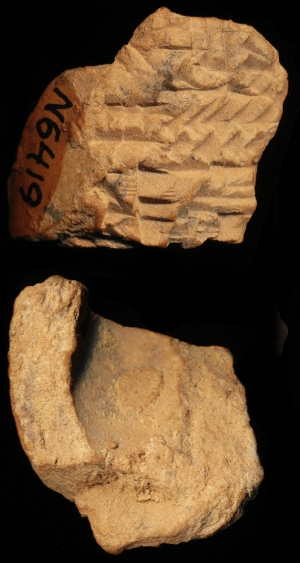 N6419
