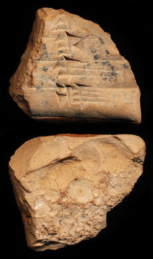 N6427