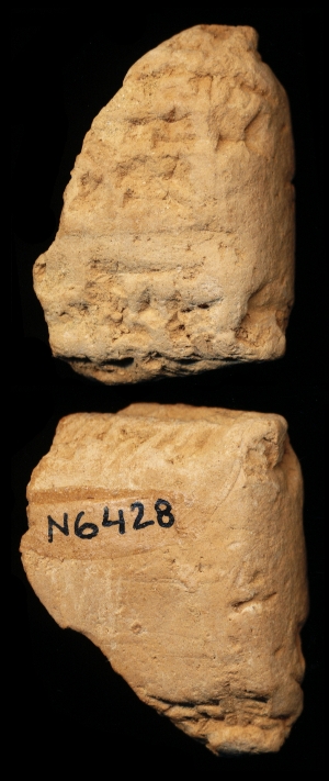 N6428