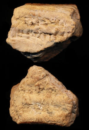 N6429