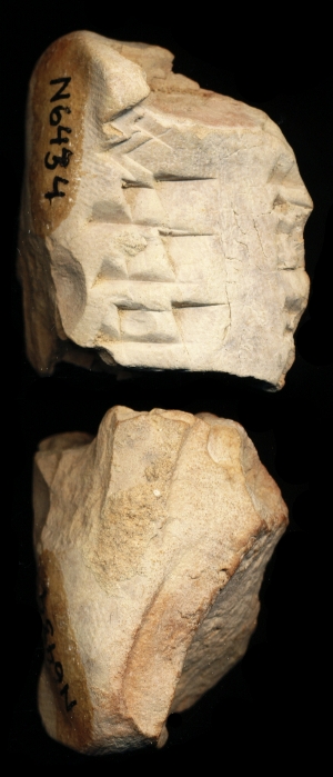 N6434