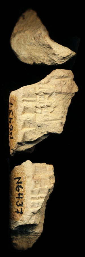 N6437