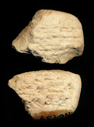 N6439