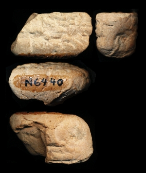 N6440