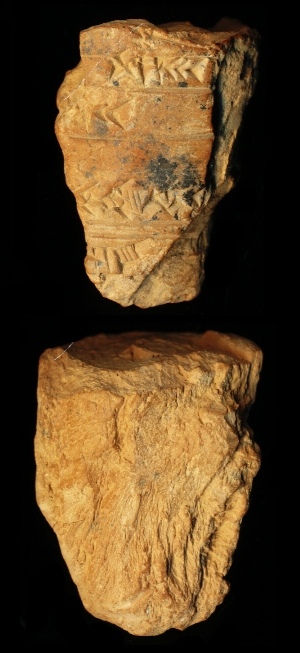 N6443