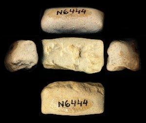 N6444