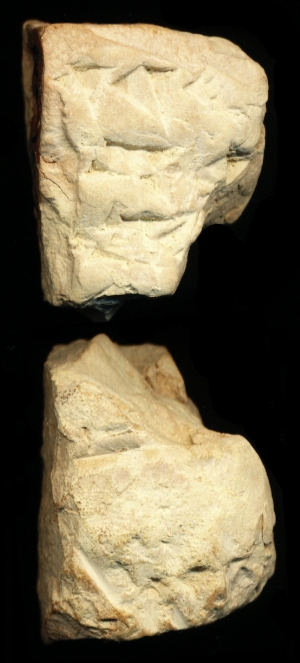 N6447