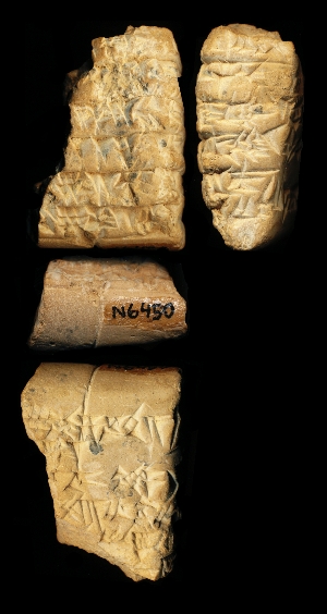 N6450