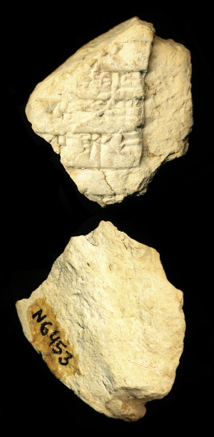 N6453