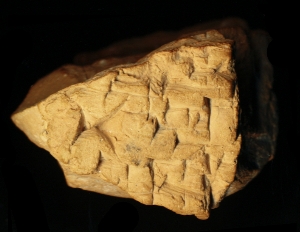 N6455