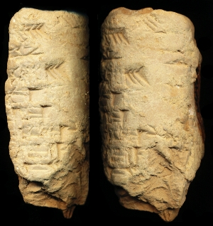 N6456