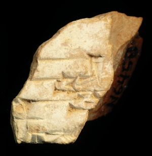 N6458